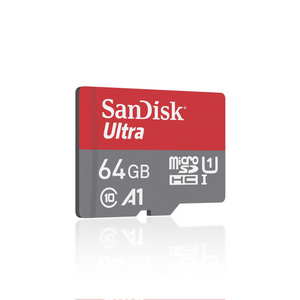 Sandisk SD card